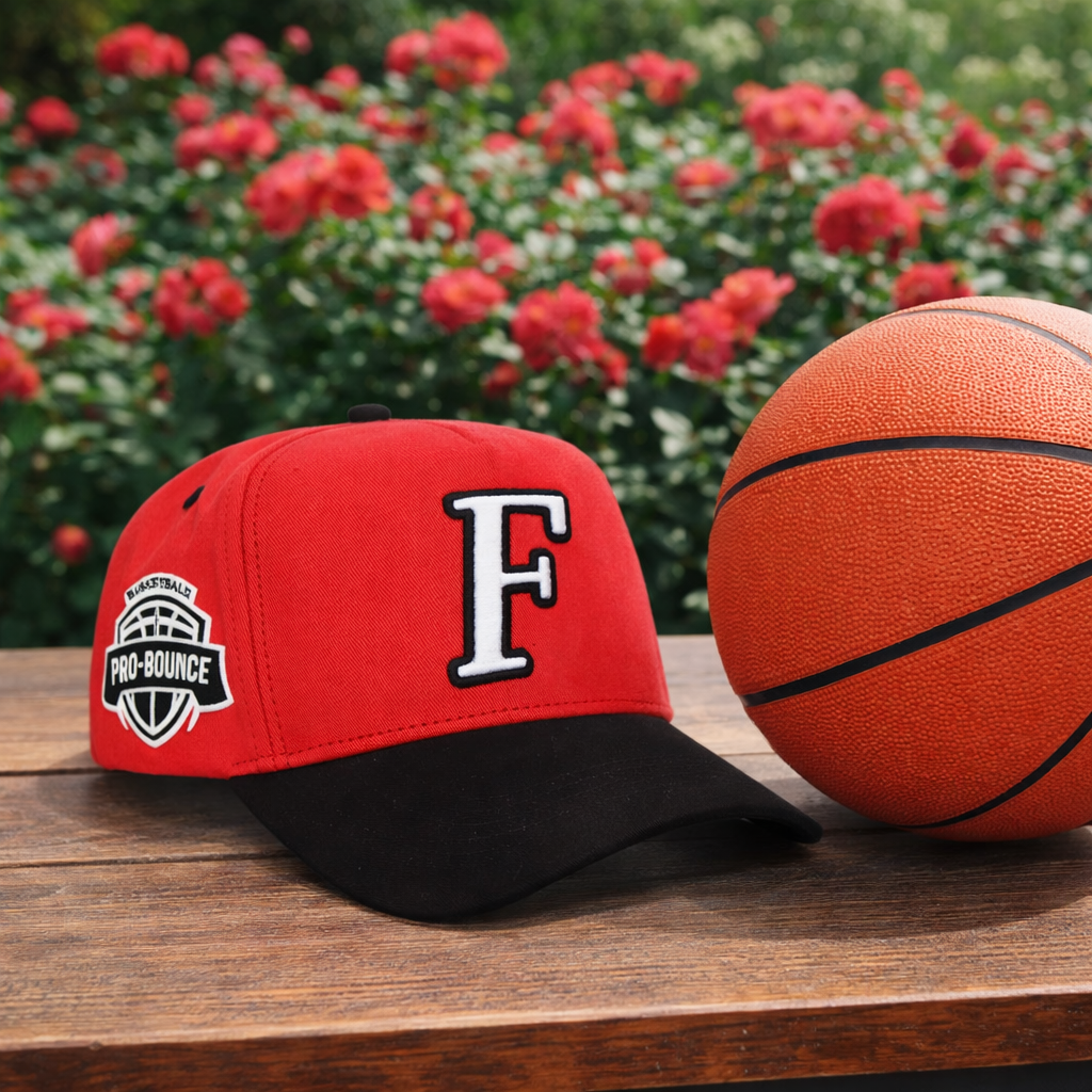 Proverbs 22:6 hat 🏀❤️