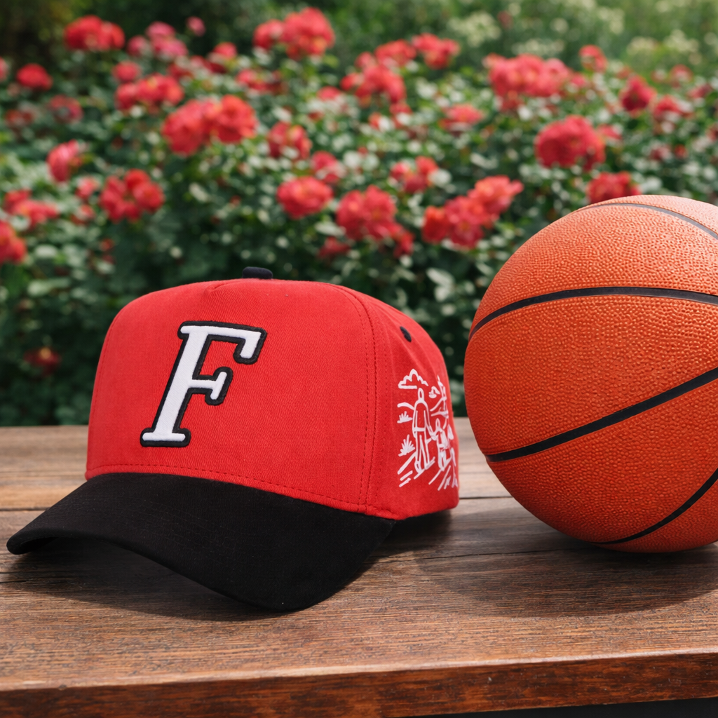 Proverbs 22:6 hat 🏀❤️